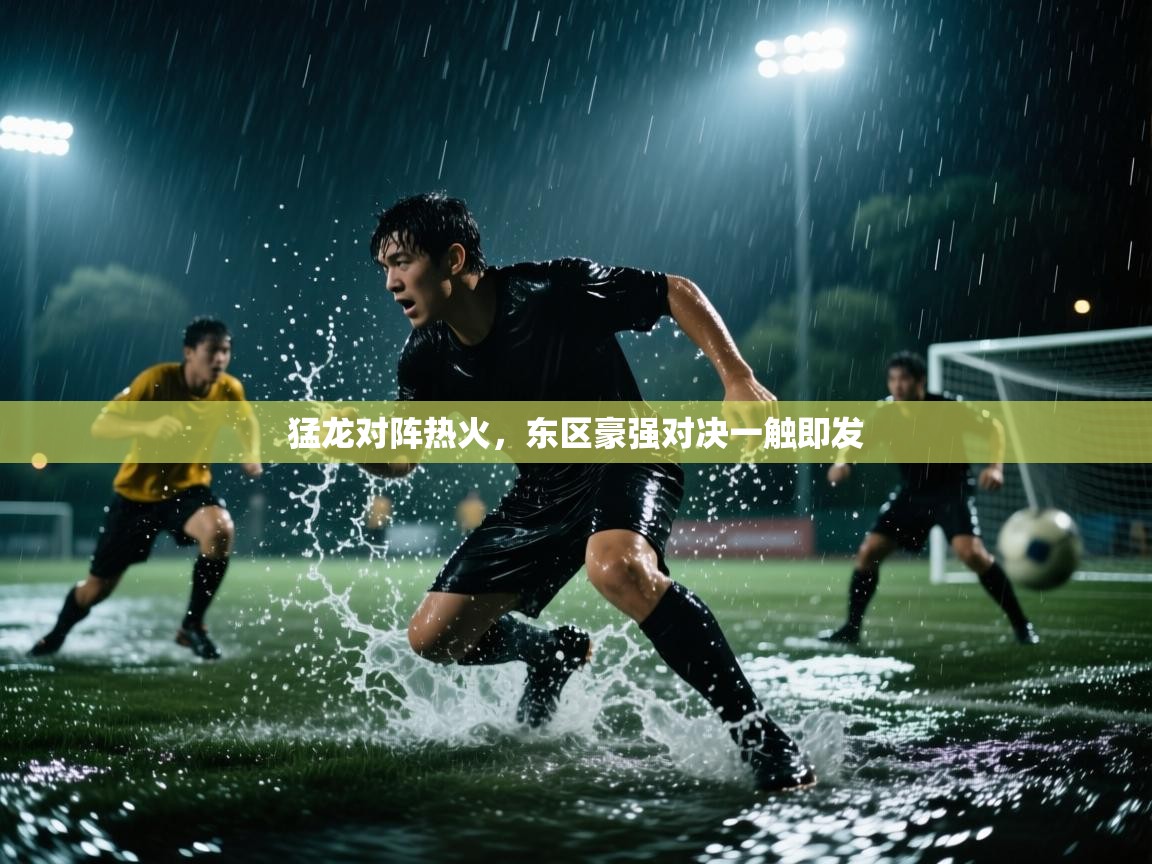 猛龙对阵热火，东区豪强对决一触即发  第2张