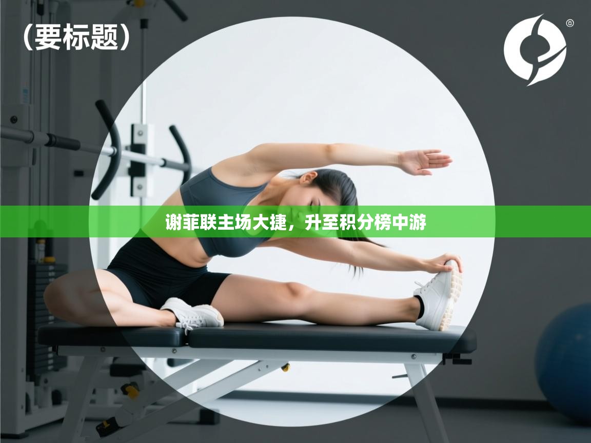 谢菲联主场大捷，升至积分榜中游  第2张