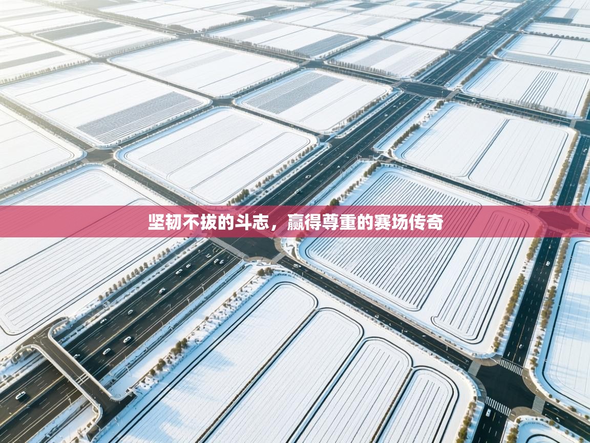 坚韧不拔的斗志，赢得尊重的赛场传奇  第1张