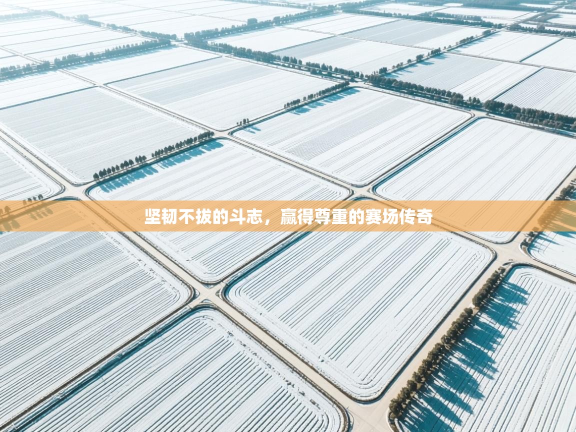 坚韧不拔的斗志，赢得尊重的赛场传奇  第2张