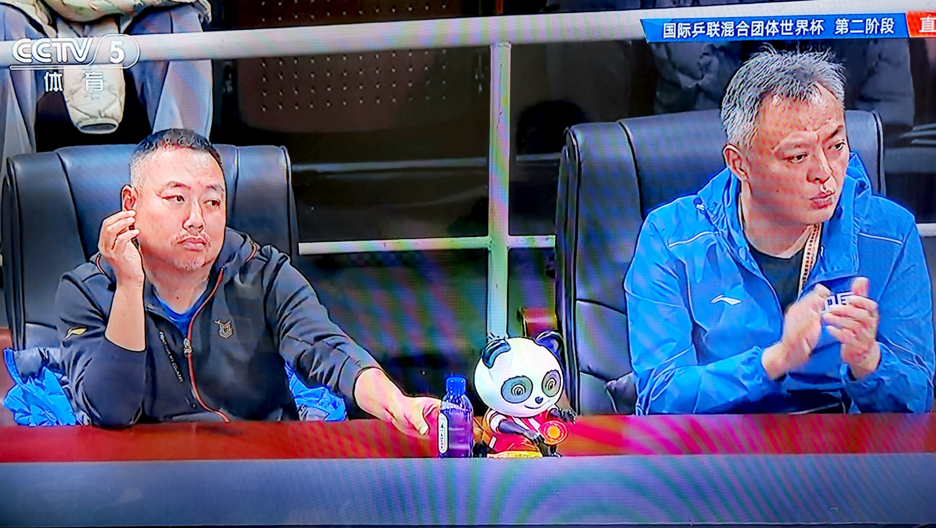 关于国际社会为世界杯比赛疯狂，各地大屏幕现场直播的信息