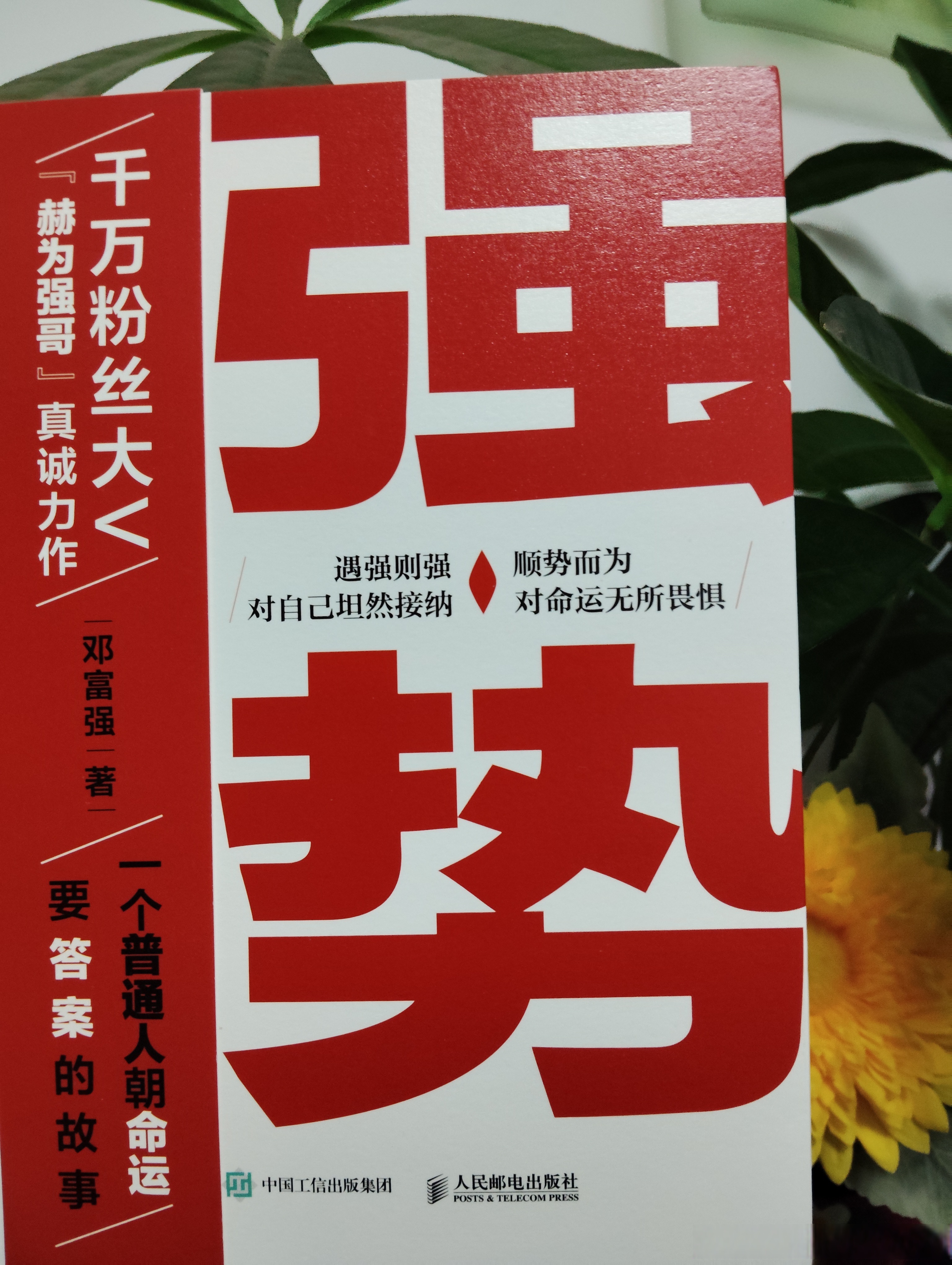凯发k8平台-无惧强手！名将实力碾压领先登顶的简单介绍